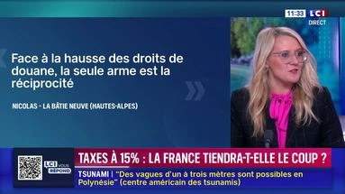 Droits de douane : la France tiendra-t-elle le coup ? LCI vous répond