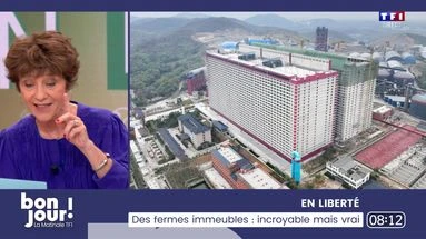 En liberté : Des fermes immeubles, incroyable mais vrai