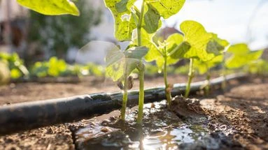 Comment bien choisir son système d'arrosage pour convenir au mieux à votre jardin ?