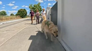 Ils gardent votre maison et vos animaux : le 