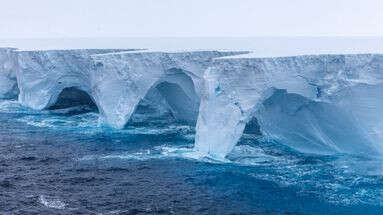 Les manchots et les otaries en danger ? Le plus gros iceberg du monde menace la biodiversité de la Géorgie du Sud