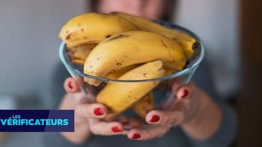 VÉRIF' - Non, les bananes ne propagent pas une épidémie mortelle
