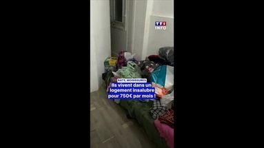 Rats, moisissures : ils vivent dans un logement insalubre pour 750€ par mois !