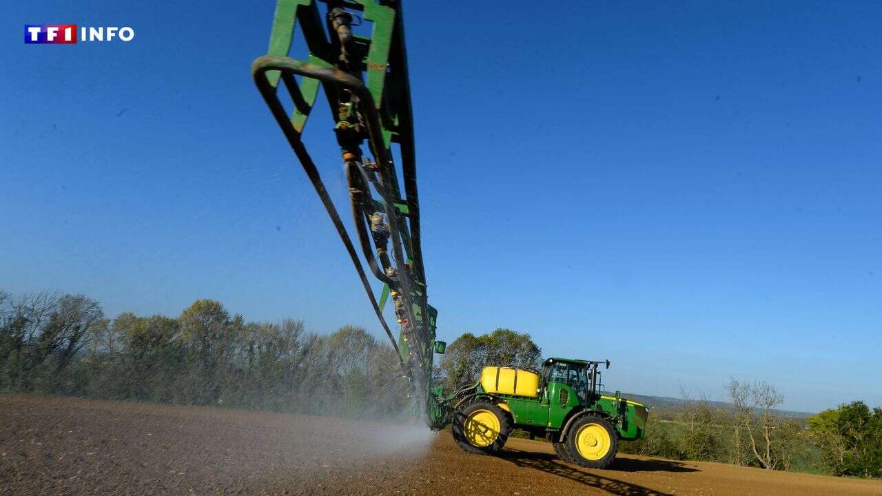 Glyphosate : ces 2000 fermes qui se réinventent pour réduire l'herbicide