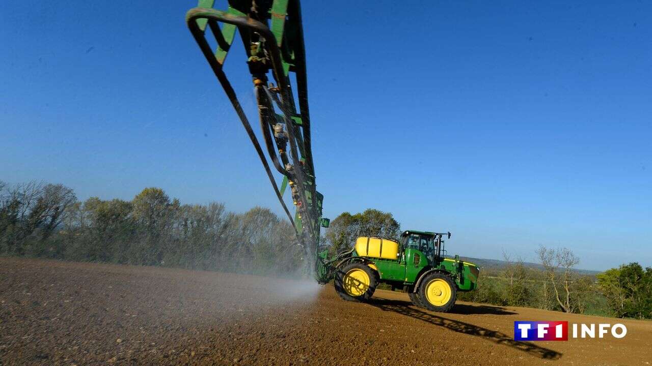 Glyphosate : 5 questions pour comprendre le débat autour de l'herbicide contesté