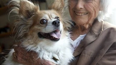 Seniors : ces races de chiens à adopter pour se maintenir en forme et se sentir moins seul