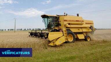 VÉRIF' - Rien qu'en 2023, la France a-t-elle perdu l'équivalent de 18.500 terrains de foot en terres agricoles ?