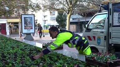 Absentéisme dans le public : comment Poissy a réussi à le faire baisser pour ses employés municipaux