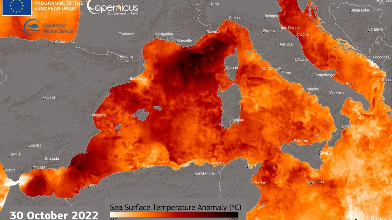 Canicule marine : le record de température journalière battu en Méditerranée avec plus de 28 degrés lundi