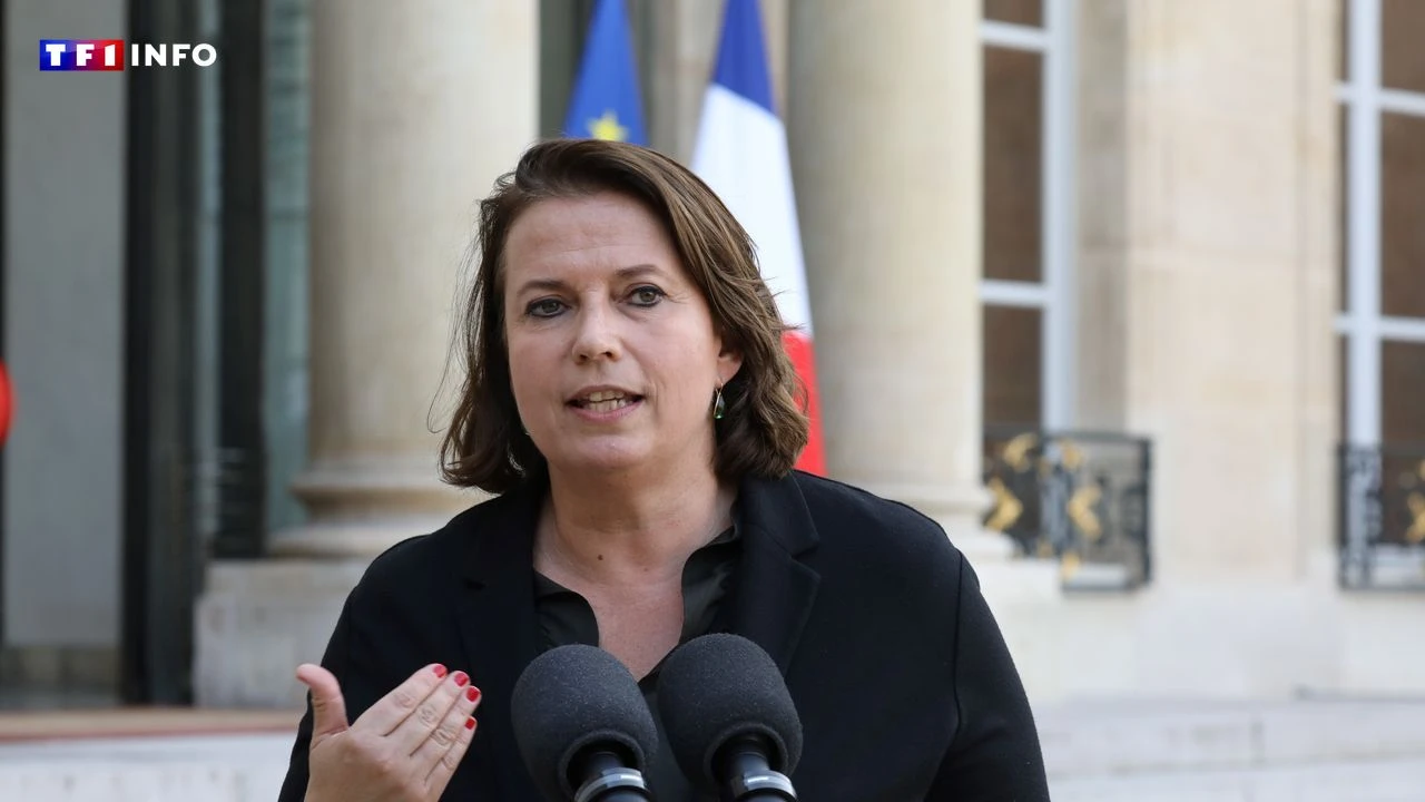 Loi immigration : la Défenseure des droits fustige le texte, une 