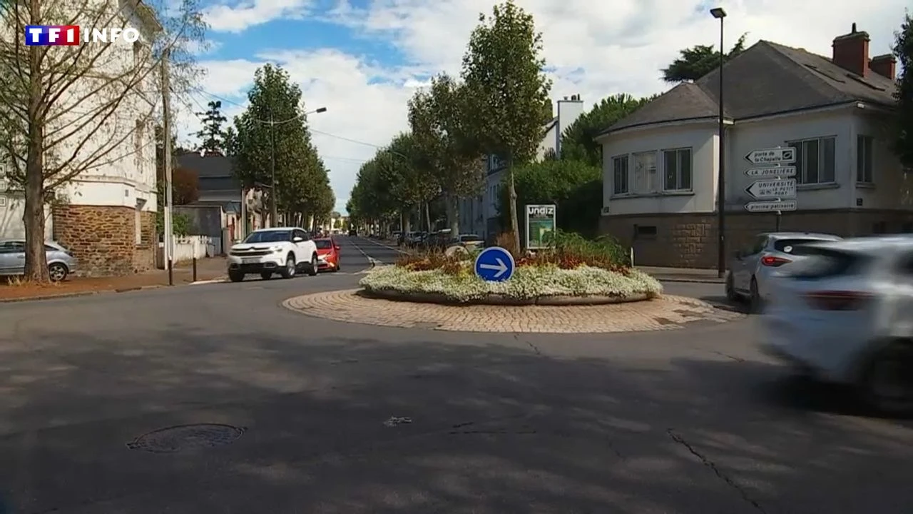 VIDÉO - Bientôt la fin des fleurs sur les ronds-points ?