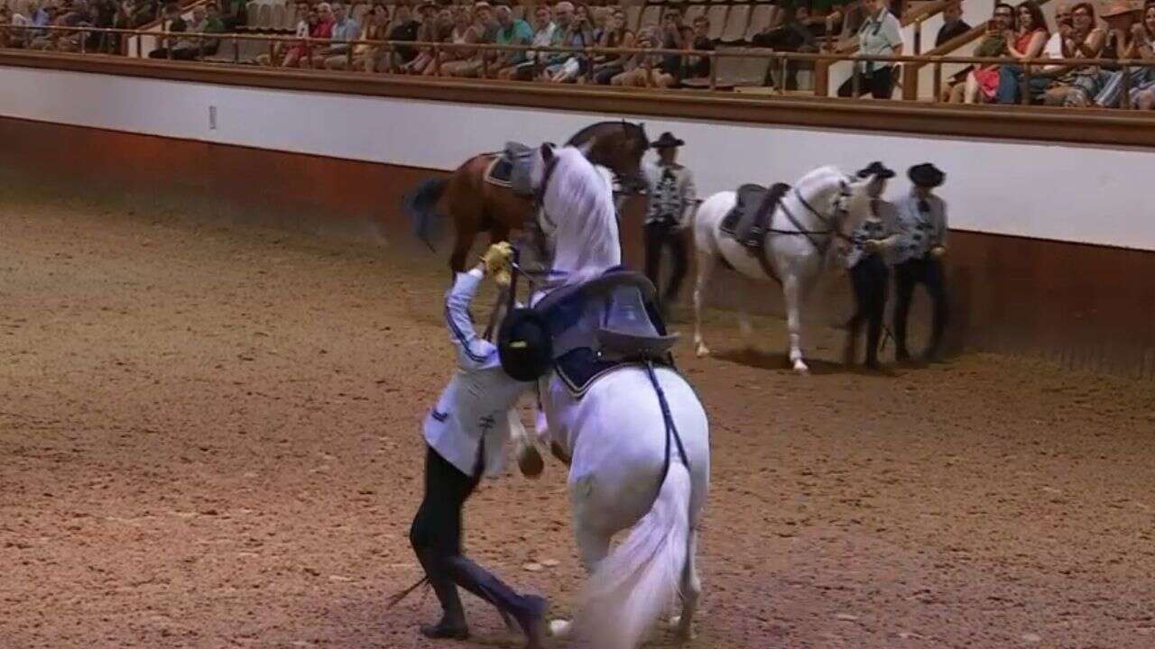 VIDÉO - Voyage en Andalousie : découvrez les trésors de Jerez de la Frontera