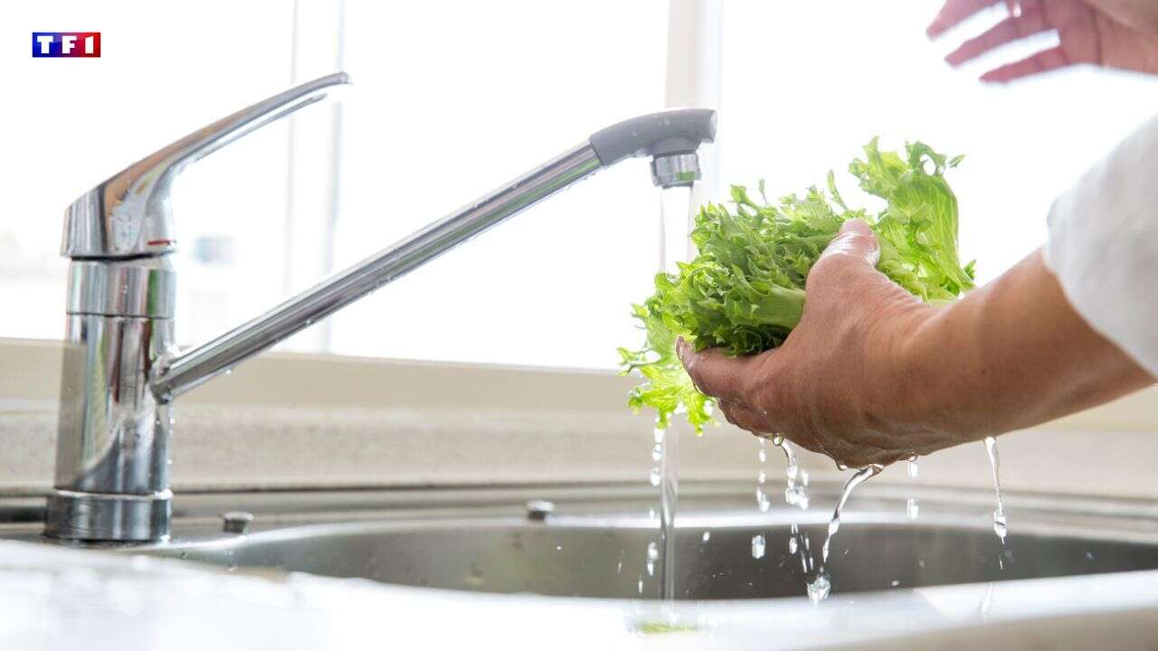 VIDÉO - Toulouse : l'eau du robinet bientôt plus chère en été ?