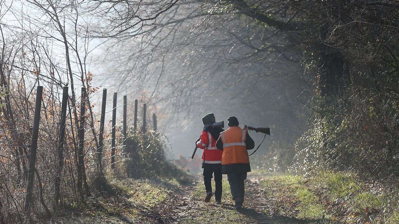 Les chasseurs 