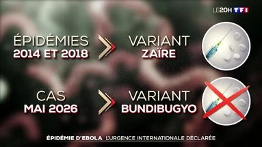 Épidémie d'Ebola : l'urgence internationale déclarée