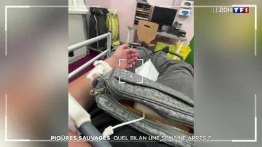 Piqûres sauvages : quel bilan une semaine après ?