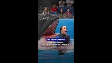 VÉRIF' - Cette dresseuse d'orques a-t-elle vraiment été tuée par l'animal qu'elle entraînait ?