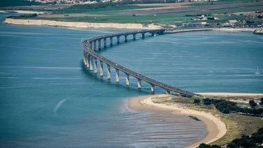 Une baleine s'échoue et meurt sur une plage de l'Île de Ré