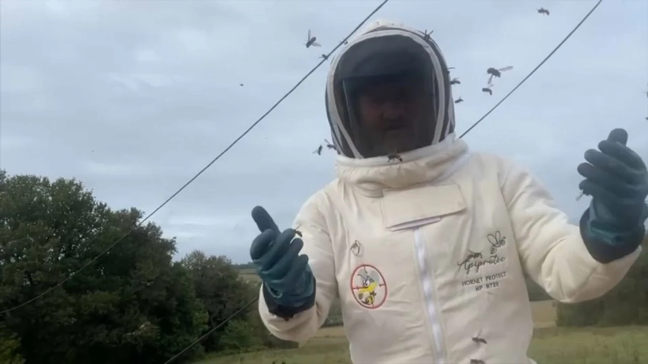 VIDÉO - Chasseur de frelons, il cartonne sur YouTube : 