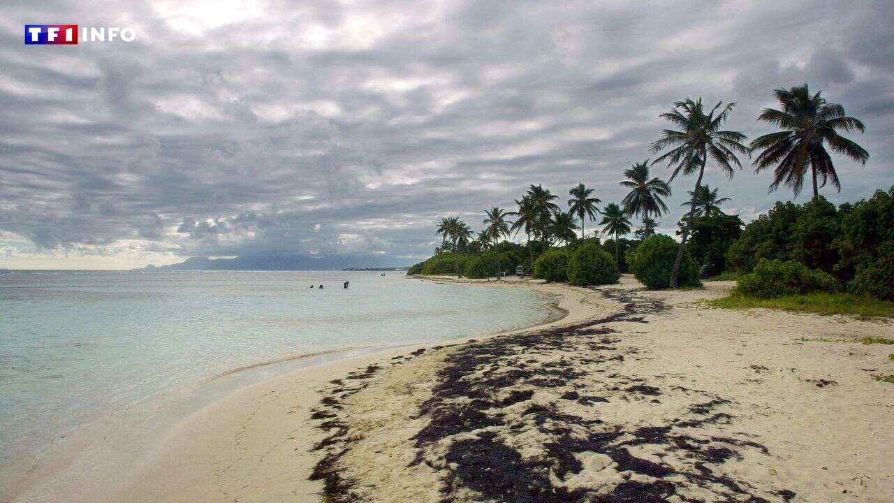 Guadeloupe : deux séismes frappent l'archipel en moins de 24 heures