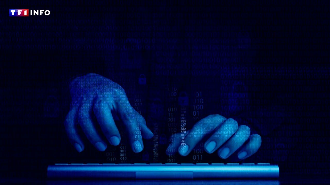 Europol arrête le cerveau présumé d'un gang de hackers qui opérait dans 71 pays