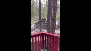 VIDÉO - États-Unis : une maison emportée par les inondations au Nouveau-Mexique