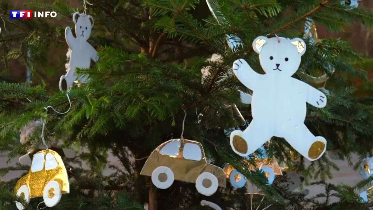 VIDÉO - Décorations de Noël : ce village vous en met plein les yeux... pour pas un sou !