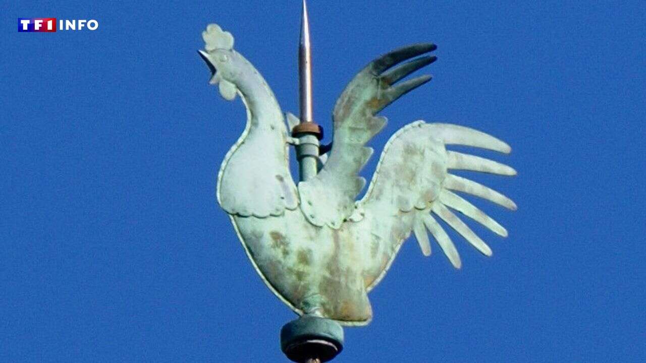 VIDÉO - Notre-Dame de Paris : le coq va retrouver sa place au sommet de la cathédrale