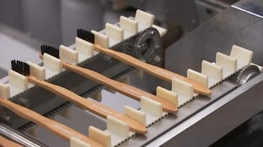VIDÉO - Les brosses à dents en bambou sont-elles vraiment plus écologiques ?