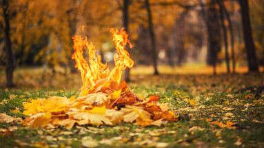 Mon voisin a-t-il le droit de brûler des feuilles mortes dans son jardin ? Le 13H à vos côtés