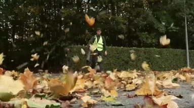 Feuilles mortes : ça coûte cher à ramasser