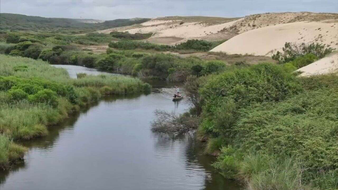 Le courant d'Huchet : balade dans la petite Amazonie des Landes