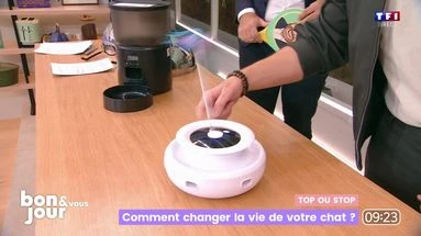 Top ou Stop : Comment changer la vie de votre chat ?