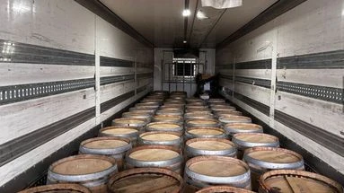 Plus de 400 kg de cannabis découverts derrière des barriques de vin grâce au flair d'un chien
