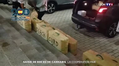 Saisie de 600 kg de cannabis : la coopération paie
