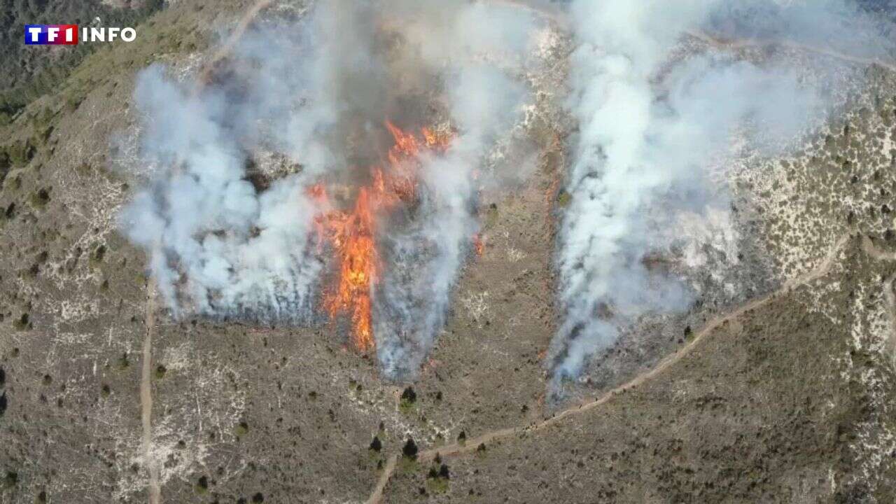 VIDÉO - Alpes-Maritimes : des incendies volontaires en plein hiver pour éviter les feux de l'été prochain