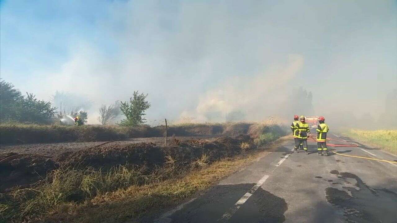 VIDÉO - Pyrénées-Orientales : en pleine crise sécheresse, un incendie entraine l'évacuation de dizaines de vacanciers