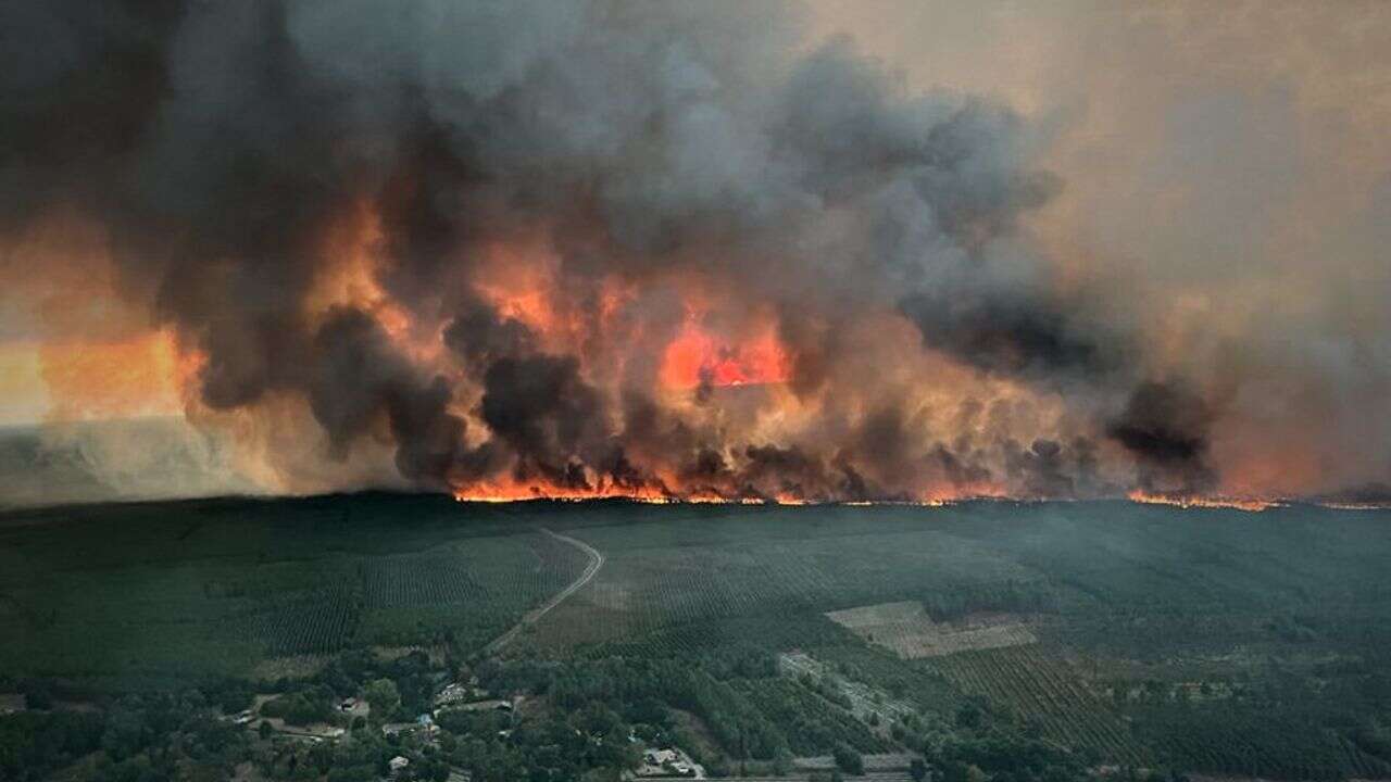 Pollution de l'air : les émissions de carbone au plus haut depuis l'été 2003 à cause des incendies