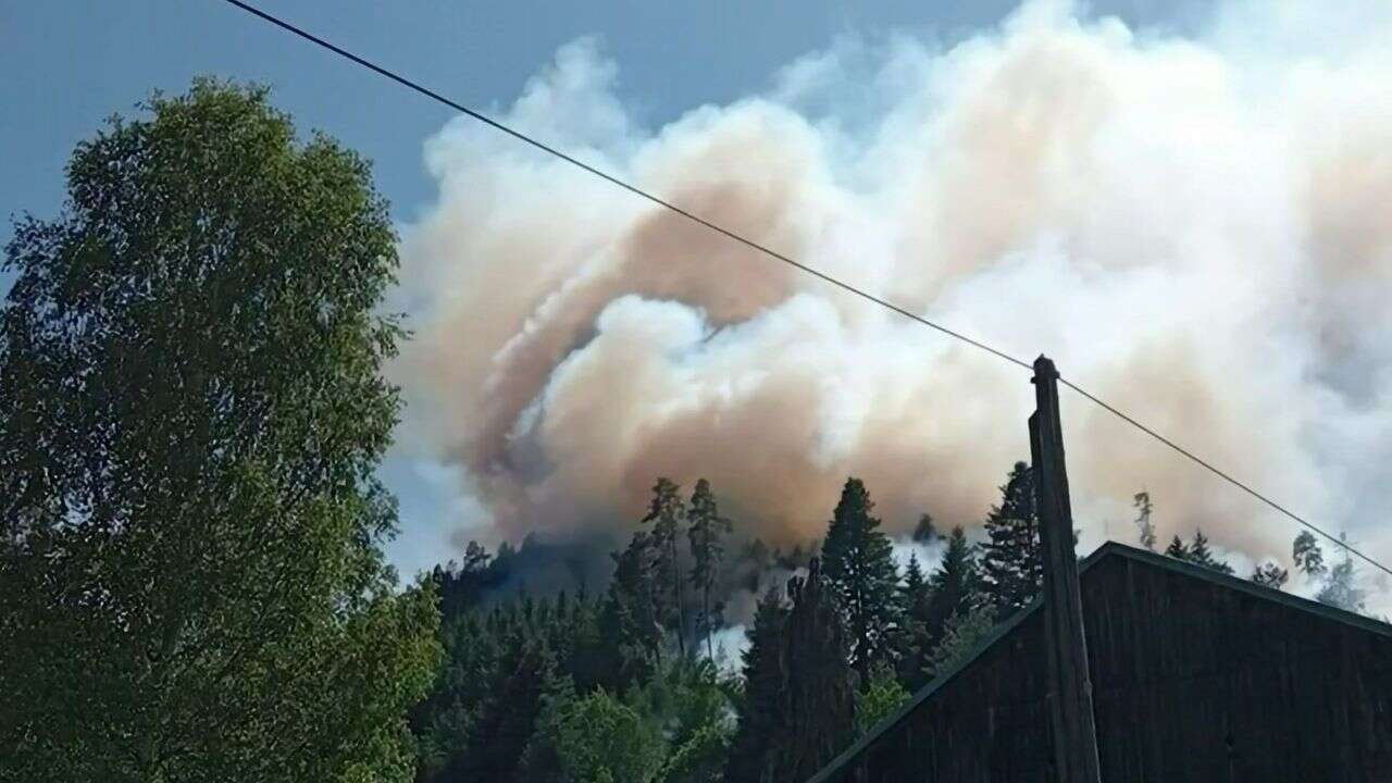 Incendie dans les Vosges : une quinzaine d’hectares détruits