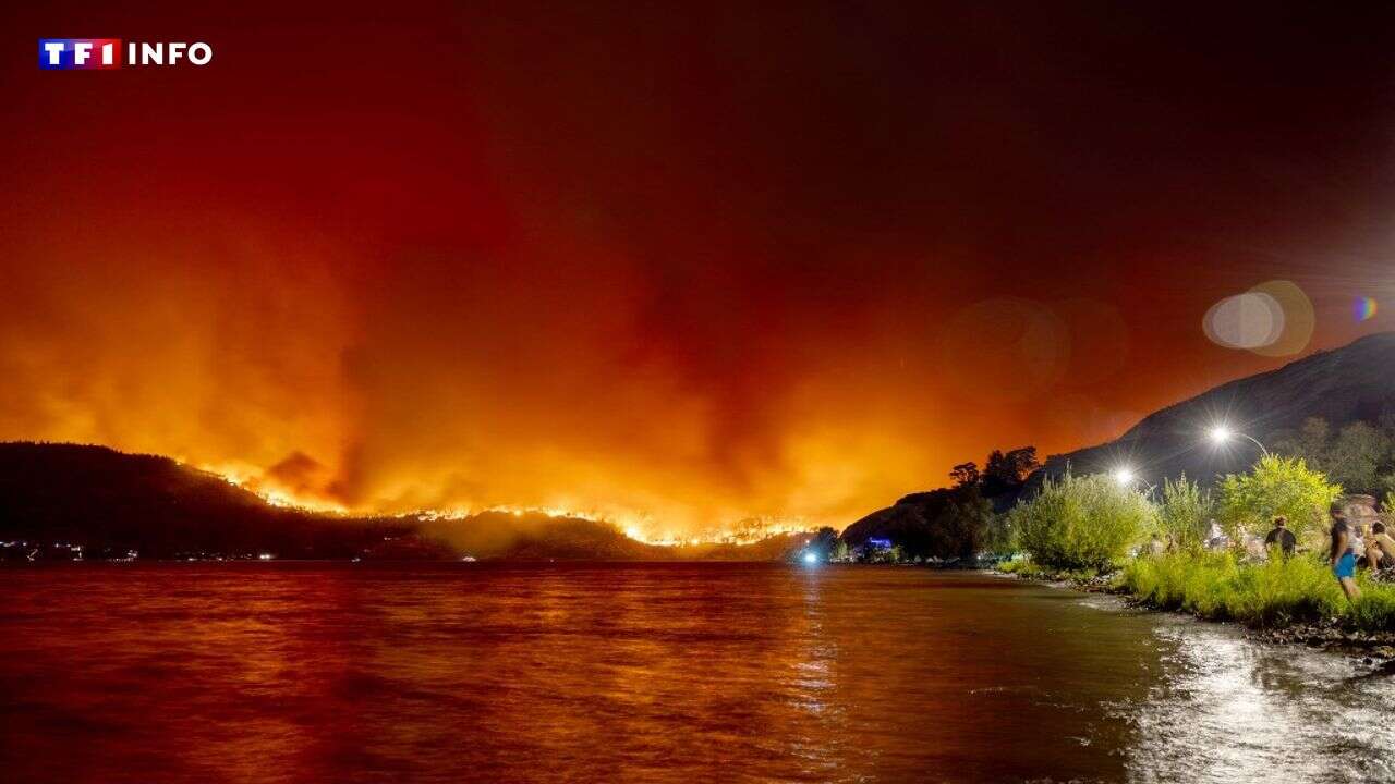 Climat : 20 des 35 signes vitaux de la Terre se situent à des records extrêmes, alertent les scientifiques