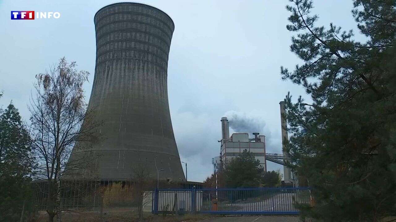 VIDÉO - Centrales à charbon : vers une seconde vie moins polluante ?