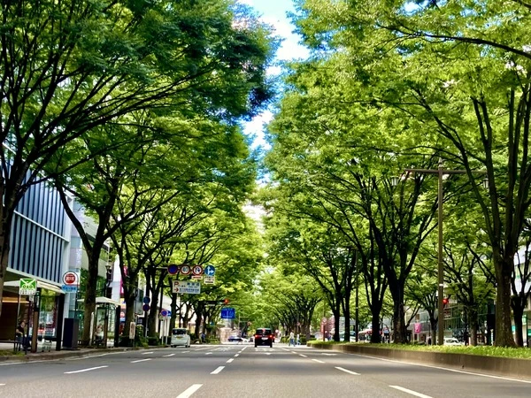 走りも快適性も守る！ 車高調、オイル、電装系まで“お手入れ完全マニュアル”～カスタムHOW TO～