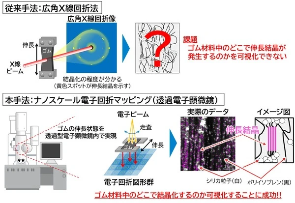 住友ゴムと東北大学、ポリイソプレンゴムの伸長結晶化メカニズムを解明