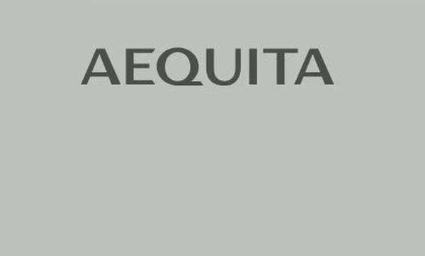 ジェイテクトの欧州ニードルローラーベアリング事業、独AEQUITAが買収