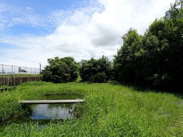横浜ゴムの三重と尾道工場、国の「自然共生サイト」に認定…生物多様性保全活動が評価