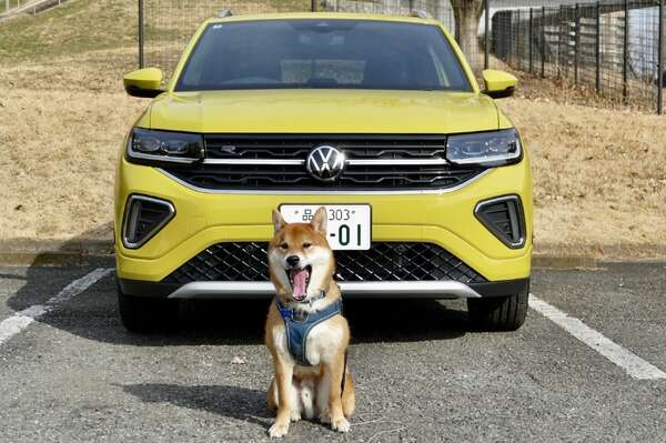 【VW Tクロス TSI R-Line 新型試乗】人にも中型犬にも“ちょうどよさ”が魅力…島崎七生人