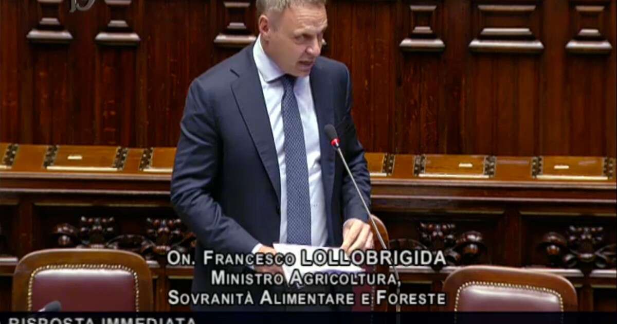 Caporalato, Lollobrigida: “Normativa Bossi-Fini è datata e va modificata”. Poi attacca i precedenti governi: “Non si è fatto niente in cinque anni”