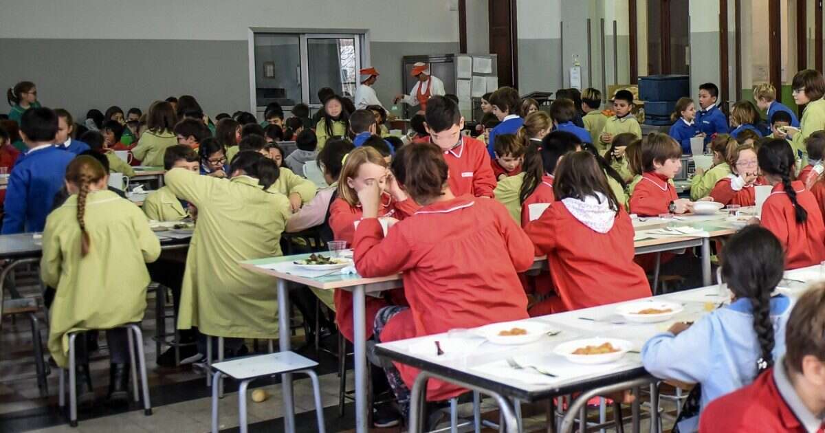 Insetti nei piatti serviti nella mensa di una scuola di Cologno Monzese: esposto ai Nas