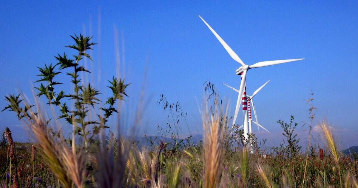 Stop al fotovoltaico, in Sicilia ora è corsa all’agrivoltaico. La protesta dei sindaci e degli agricoltori: “Coltivazioni devastate”