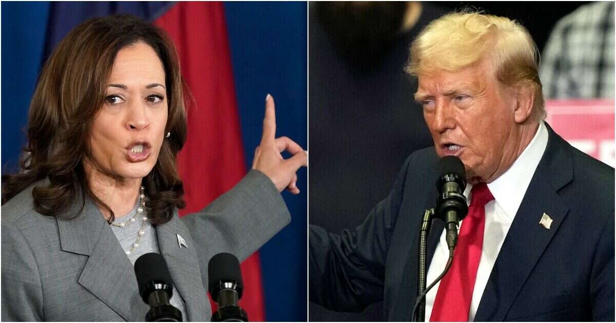 Elezioni Usa, Harris e Trump in parità: 48 a 48. Vantaggi lievi negli swing states